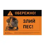 Offer photo