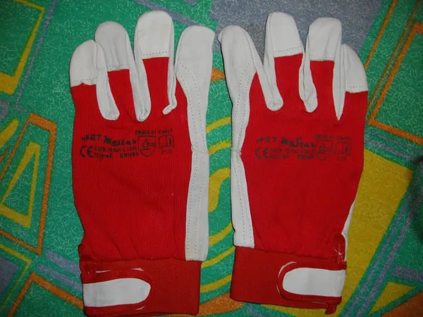 Offer photo