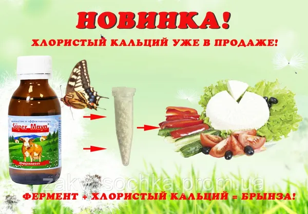Offer photo