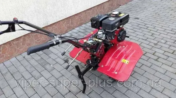 Offer photo