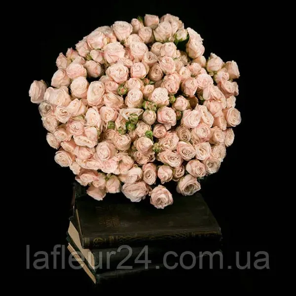 Offer photo