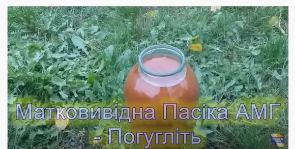 Offer photo