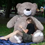 Offer photo