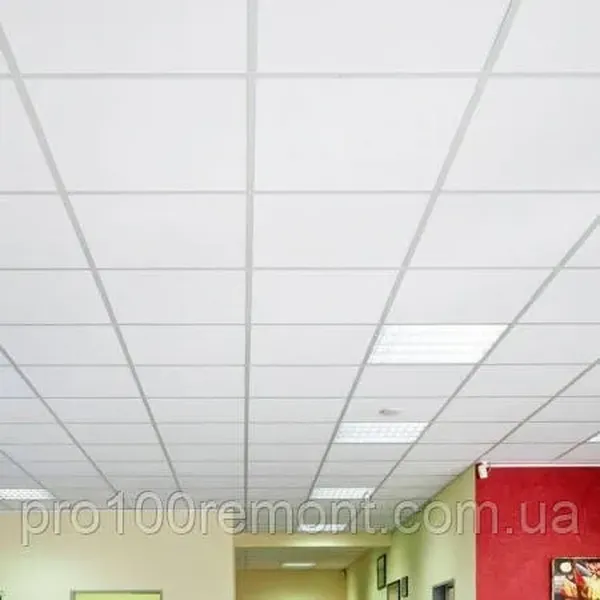 Offer photo