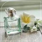 Offer photo