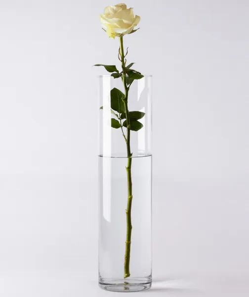 Offer photo