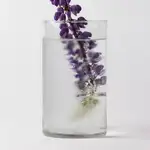 Offer photo