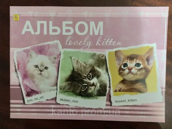 Offer photo