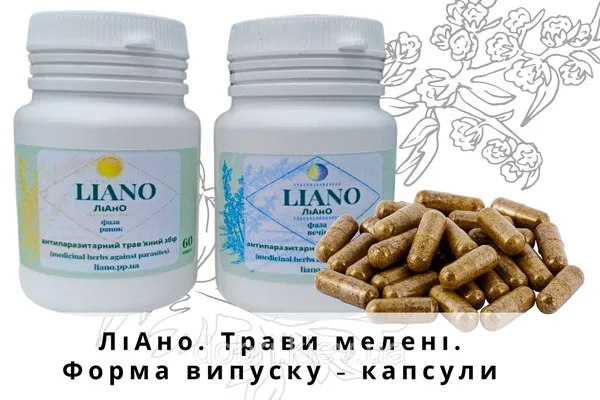 Offer photo