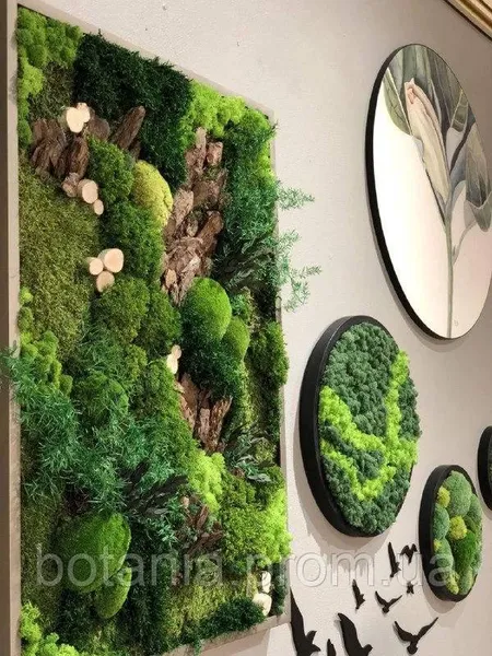 Offer photo