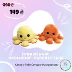 Offer photo