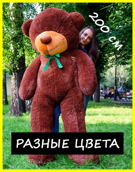 Offer photo