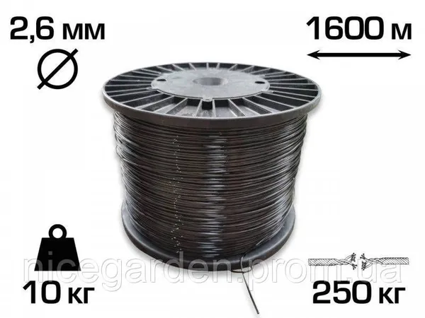 Offer photo