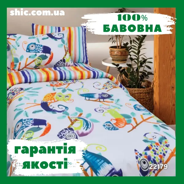 Offer photo