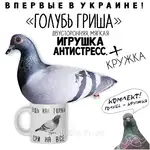 Offer photo
