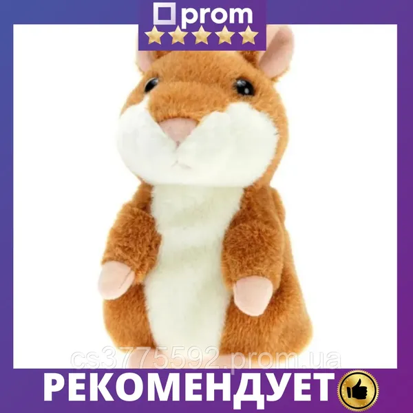 Offer photo