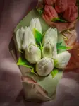Offer photo