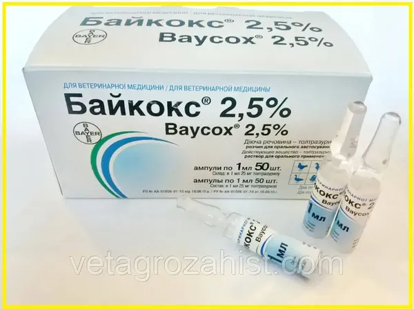 Offer photo