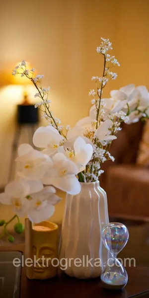 Offer photo