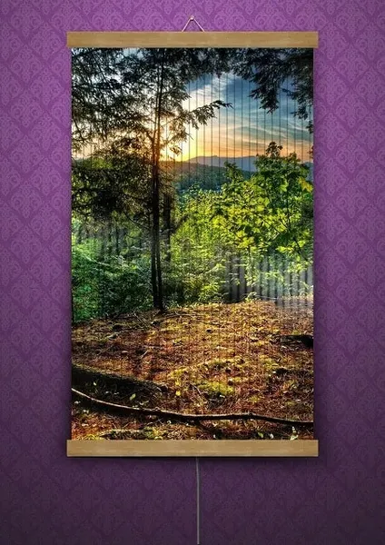 Offer photo