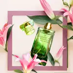 Offer photo