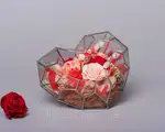 Offer photo