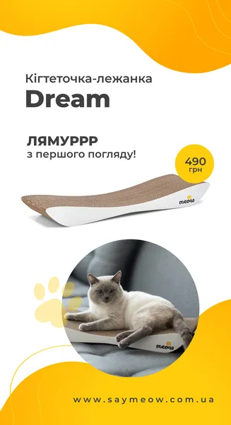 Offer photo