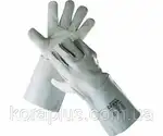 Offer photo