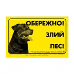 Offer photo