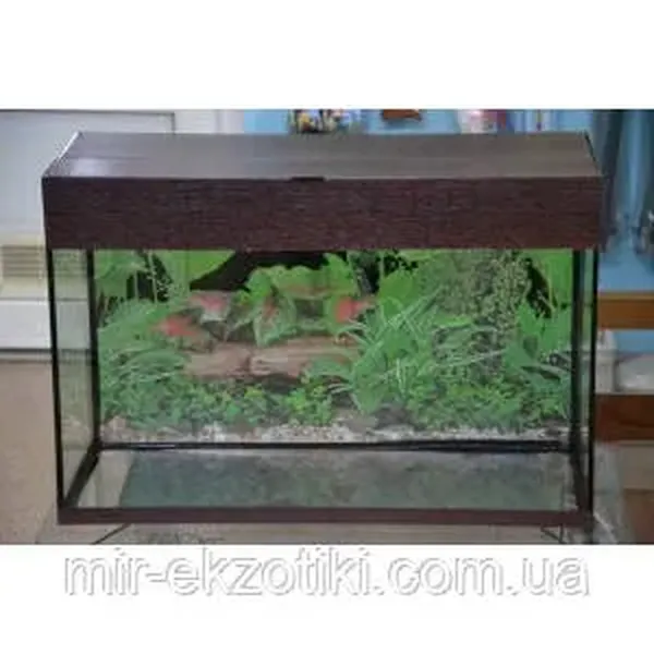 Offer photo
