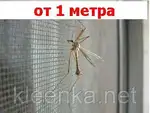 Offer photo