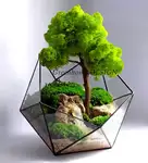 Offer photo