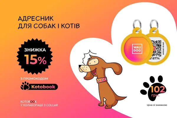 Offer photo