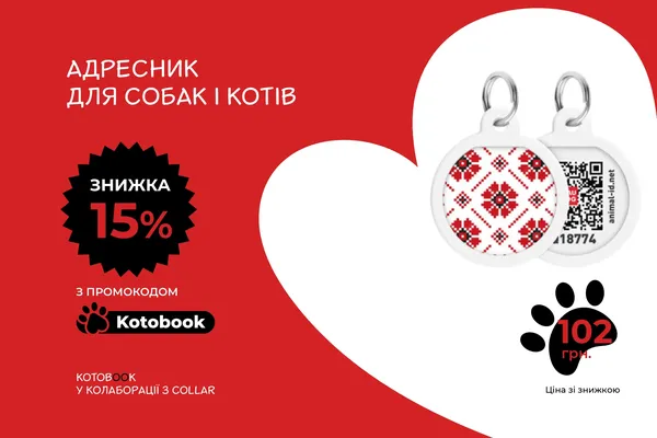 Offer photo
