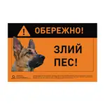 Offer photo