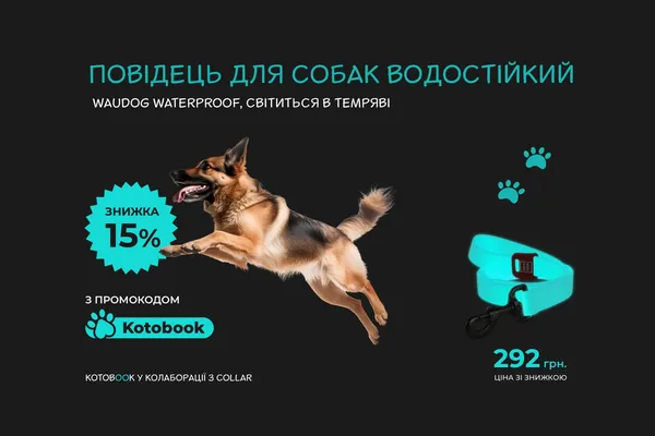 Offer photo